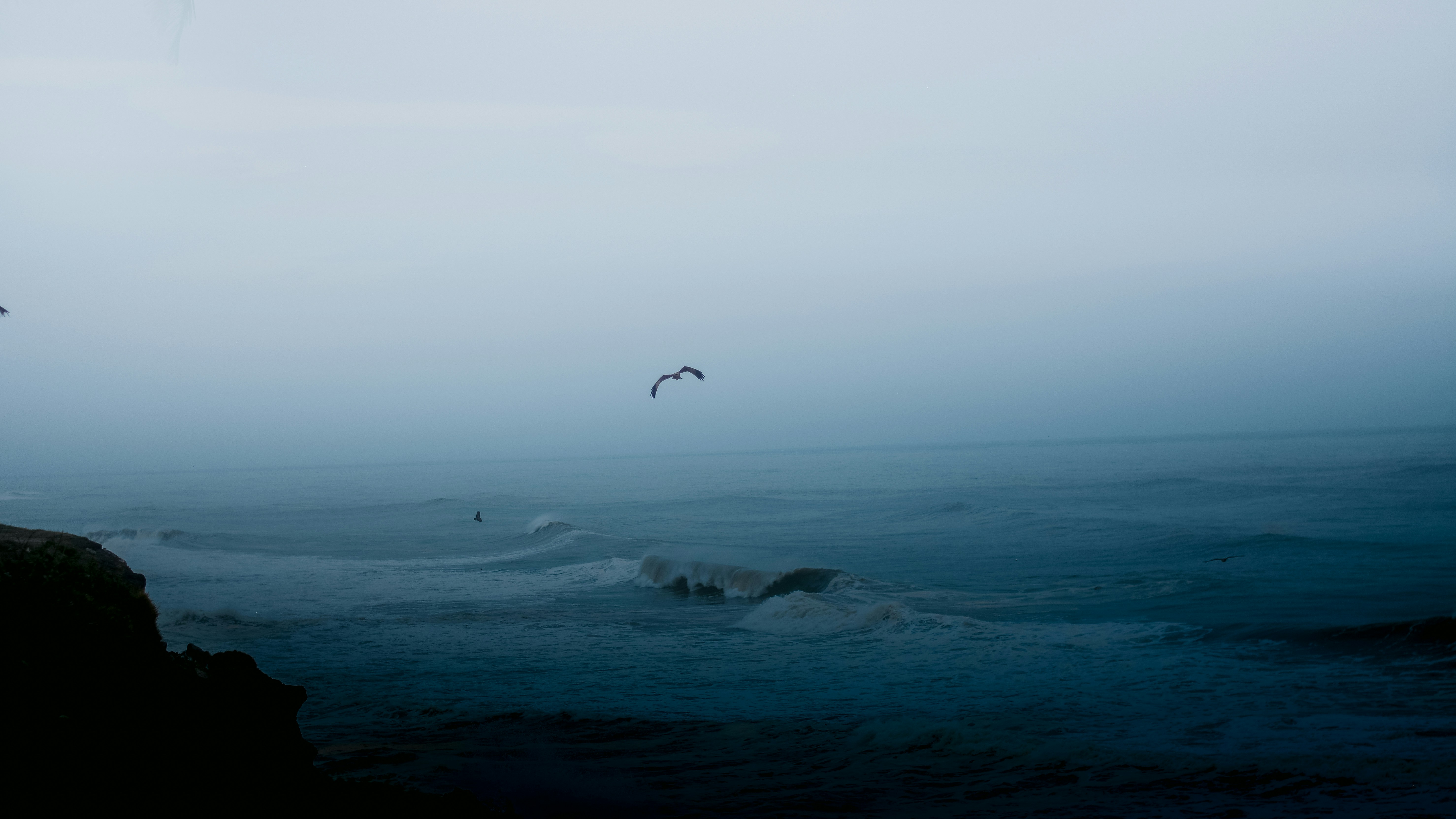 Photo by lekshman