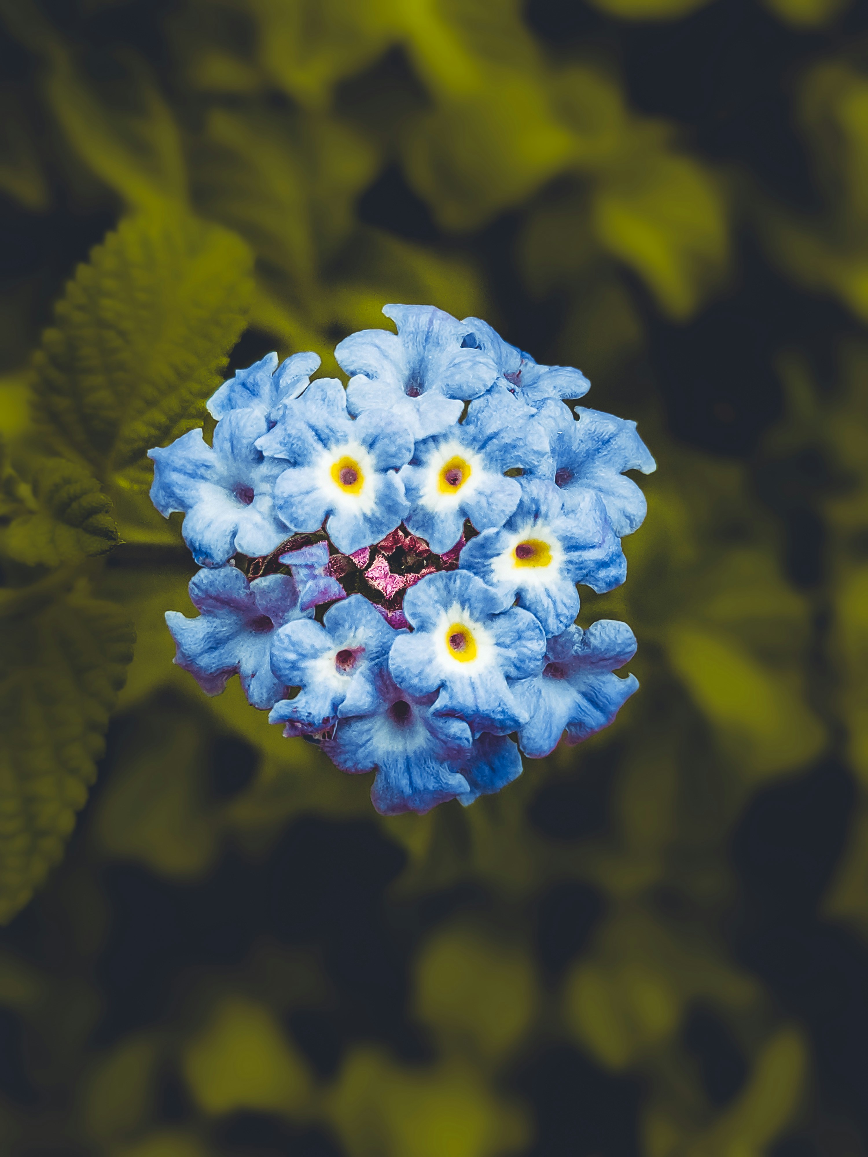 Photo by dhruv_gumasana