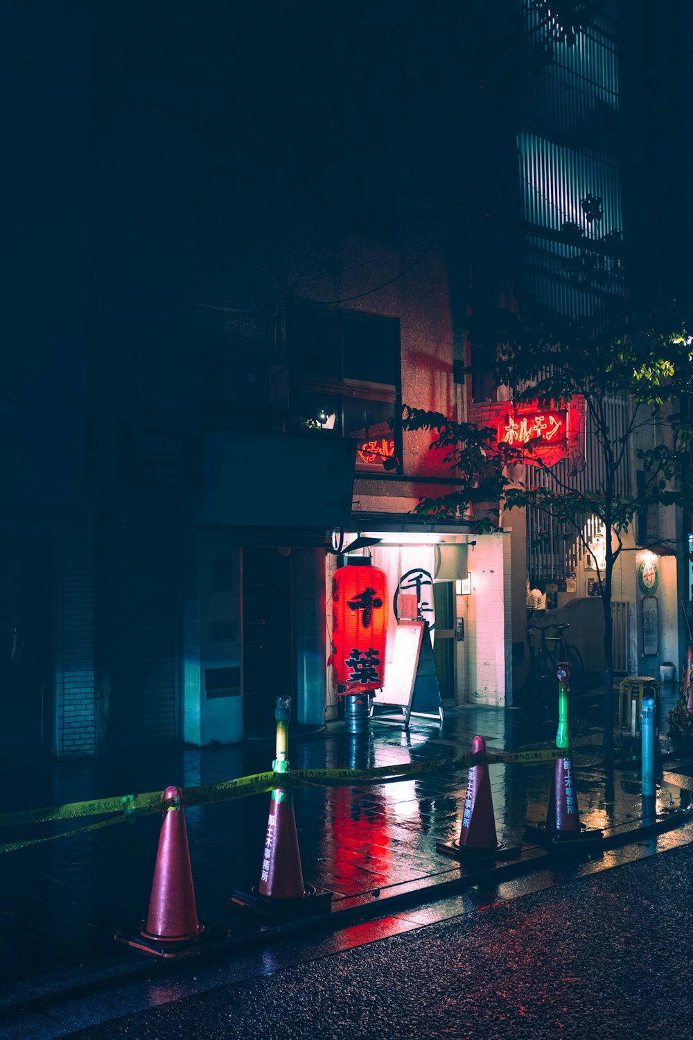 people walking on street during night time