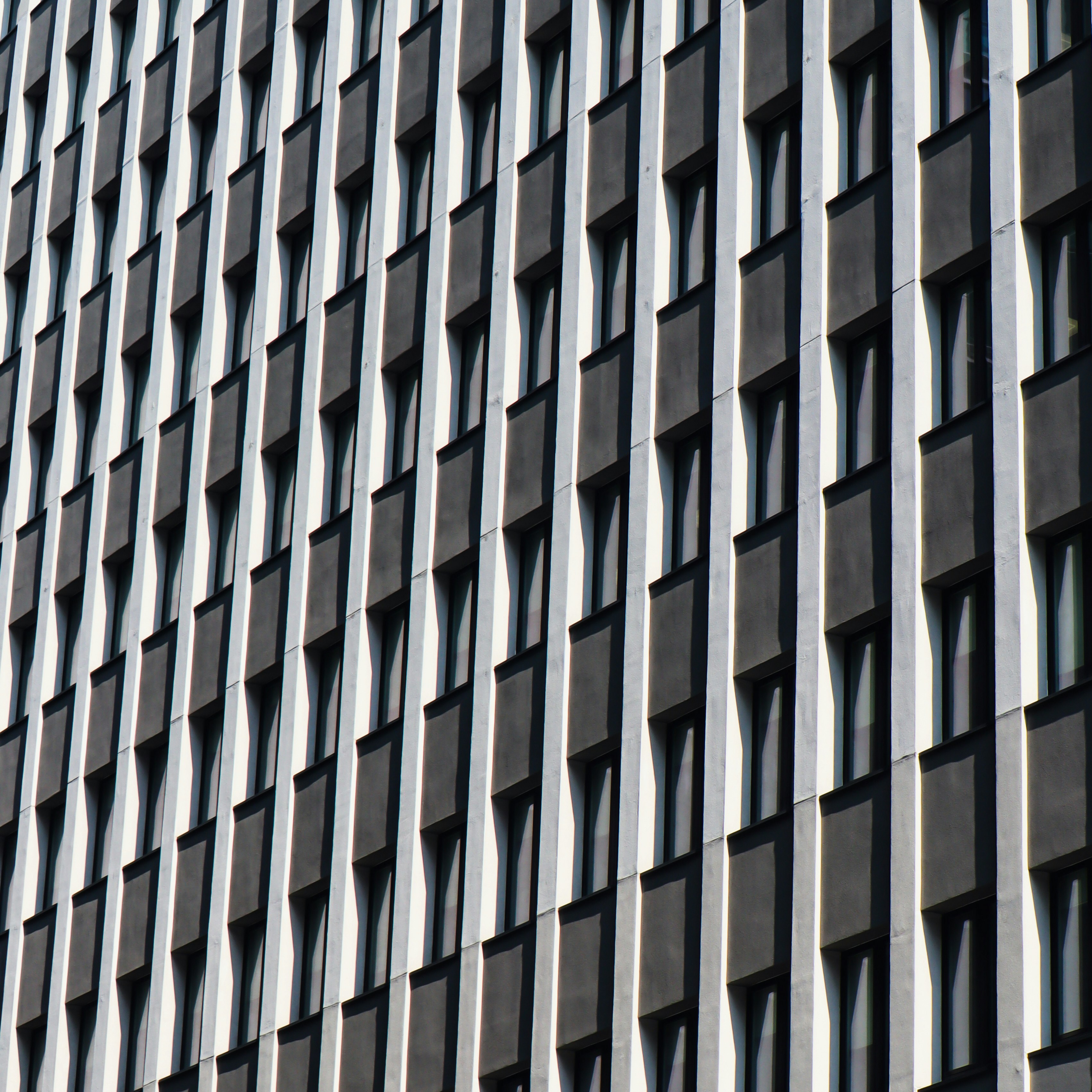 Photo by damiankarpinski_photo