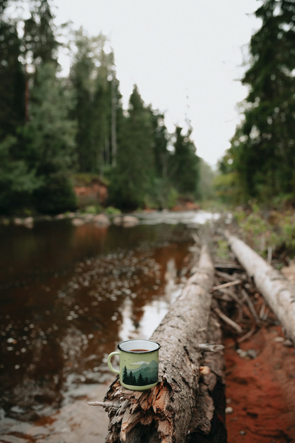 white and green ceramic mug on brown wooden log near river during daytime