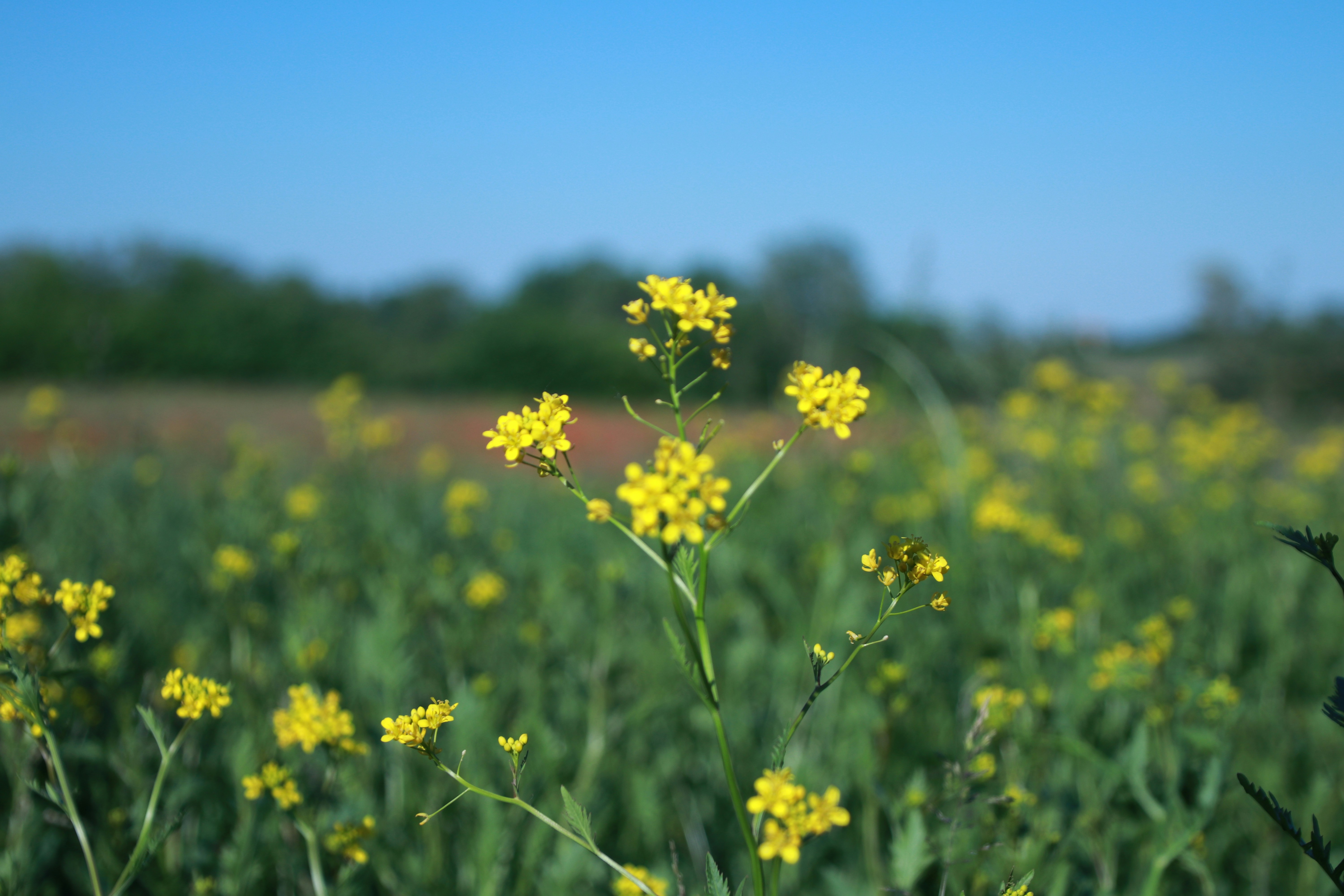 Photo by stefano_intintoli