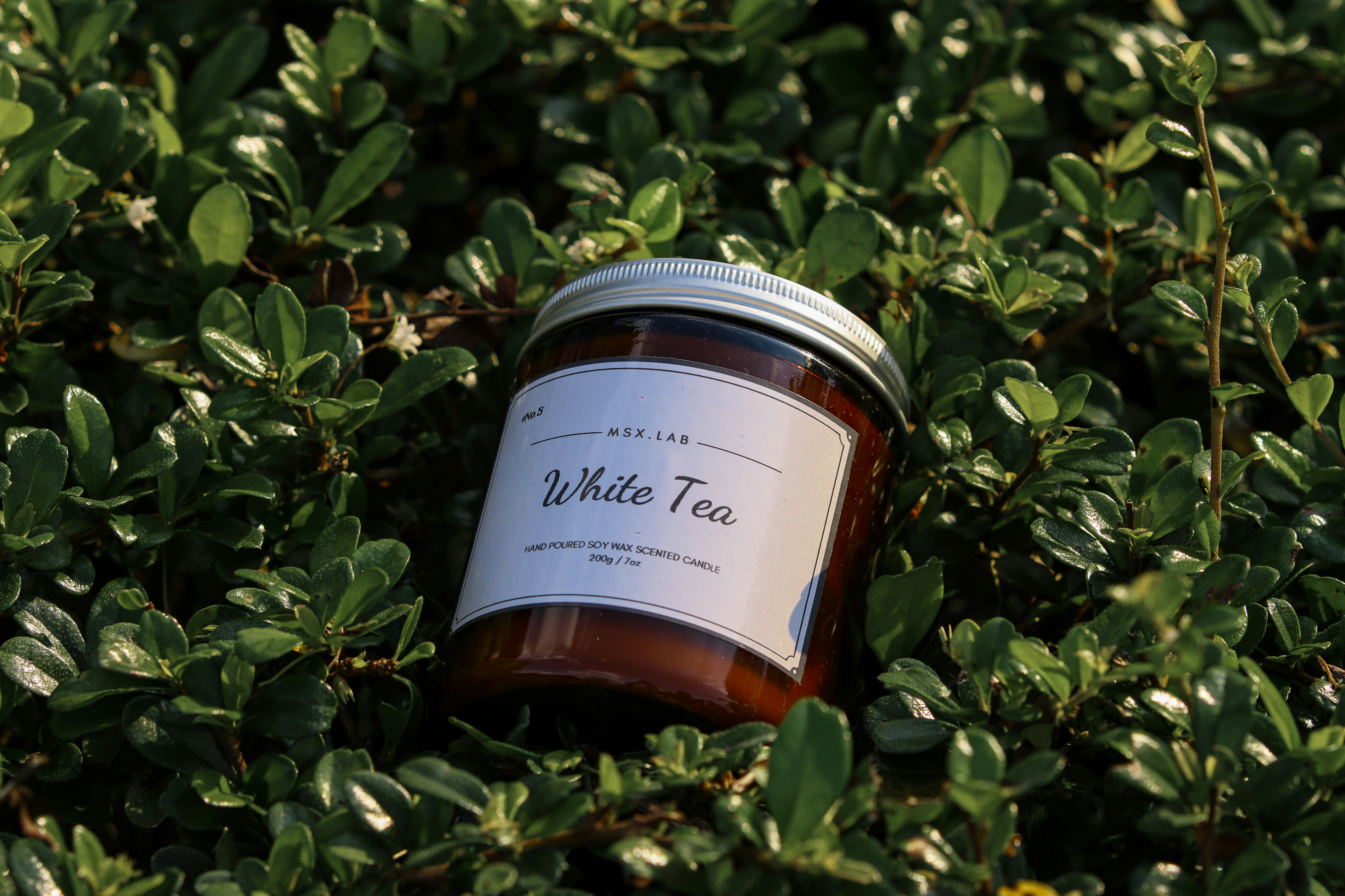 Photo by nicholasng210