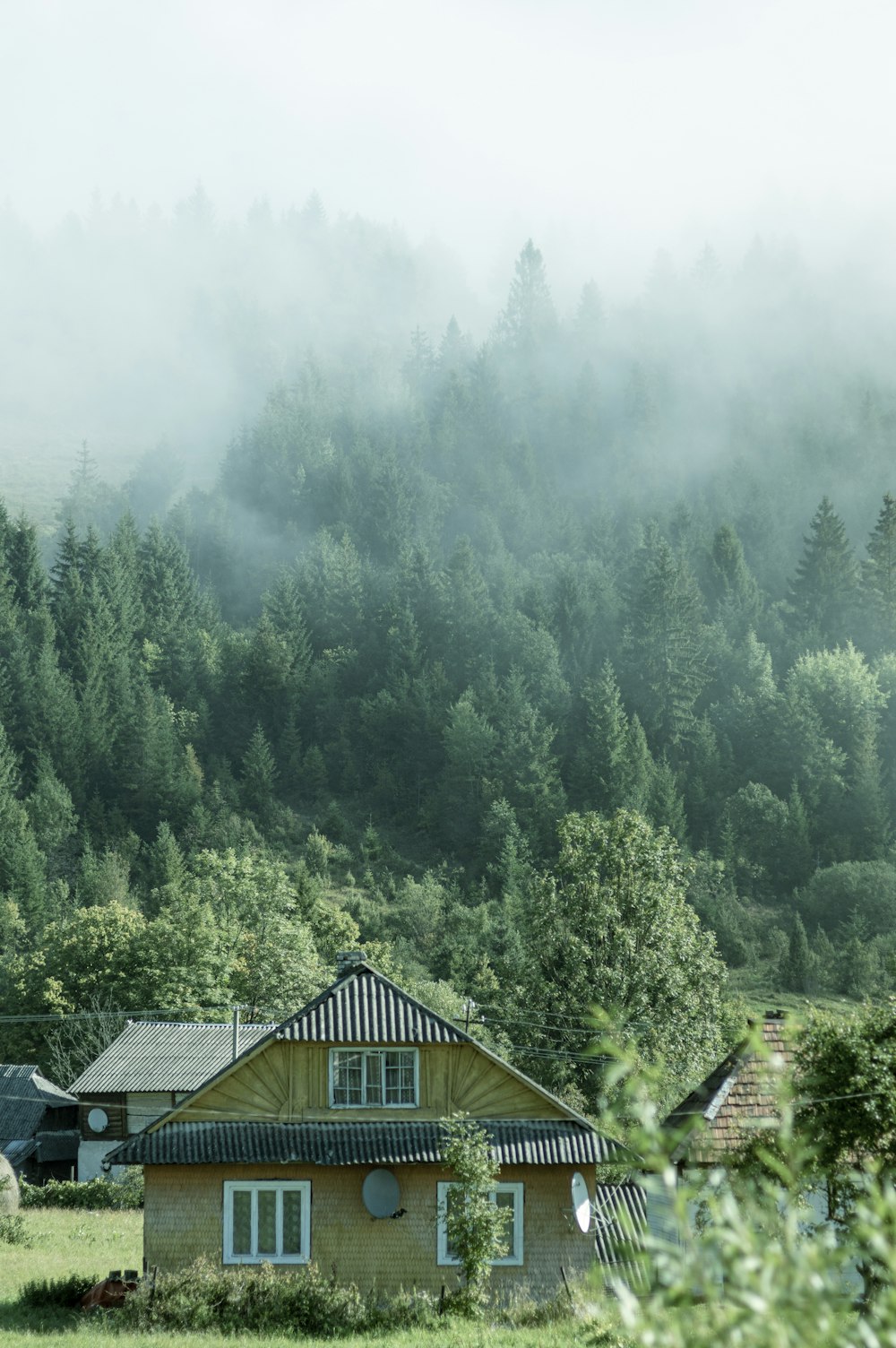 昼間の緑の森の茶色の木造家屋