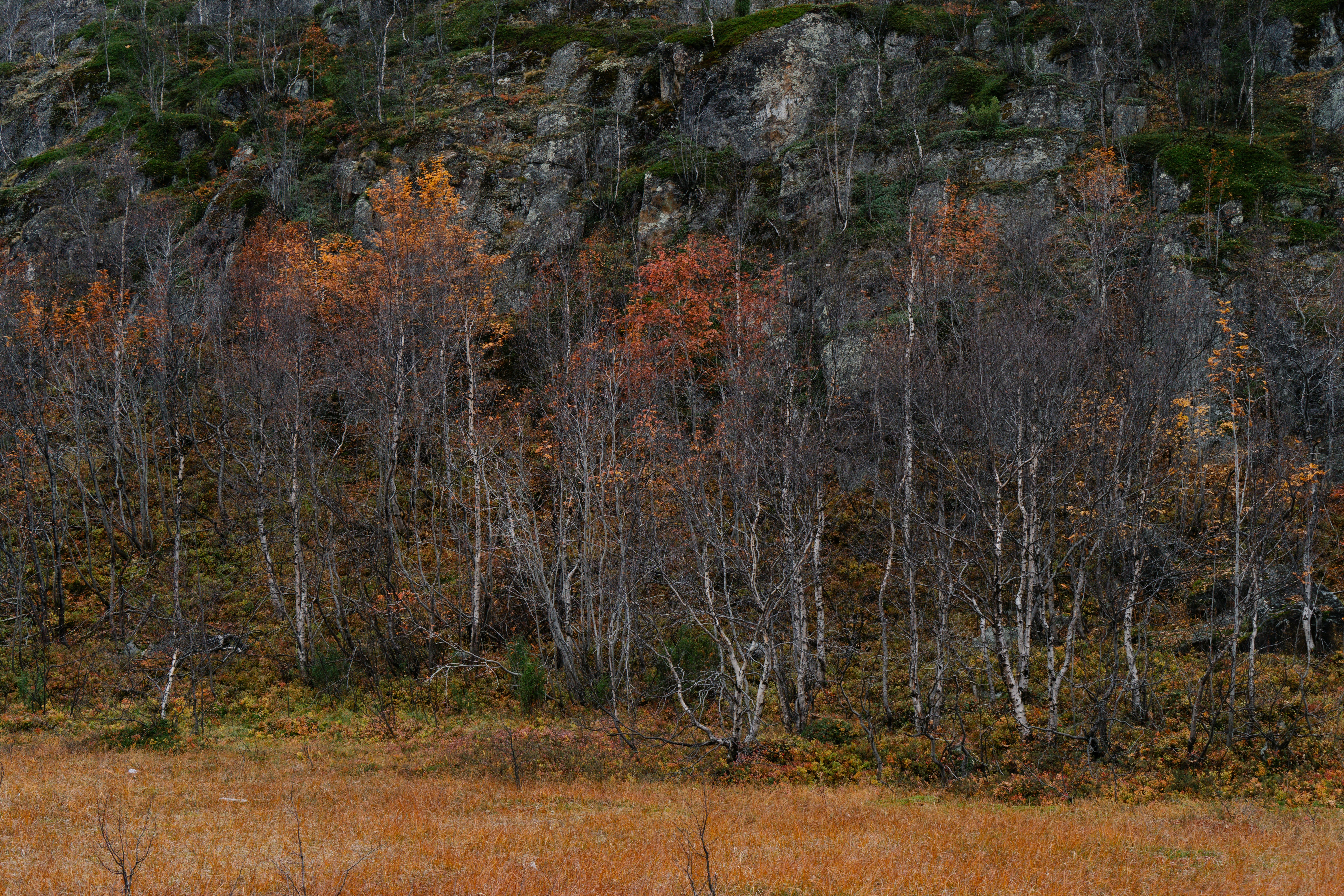 Photo by alexanderklimm