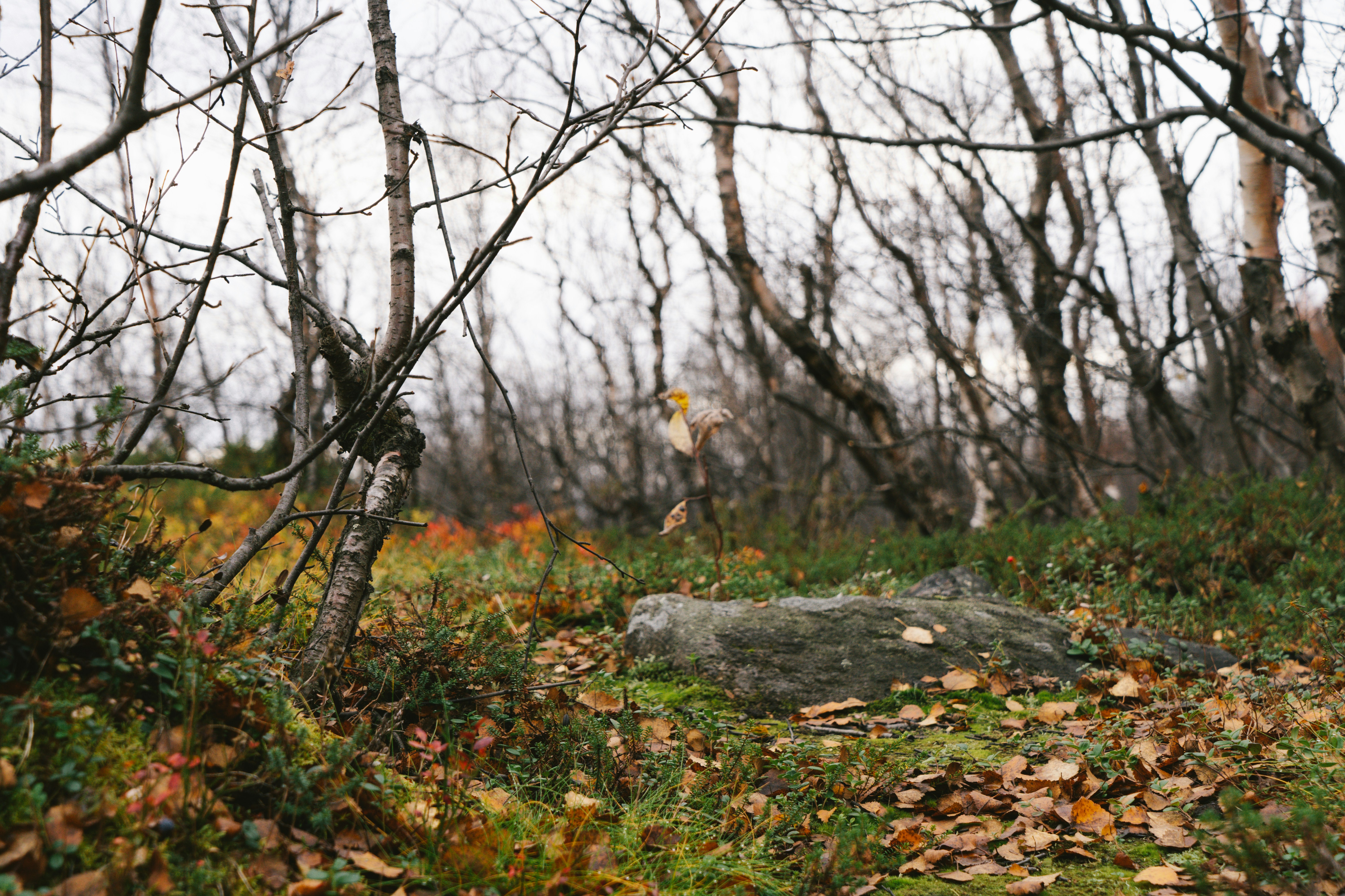 Photo by alexanderklimm