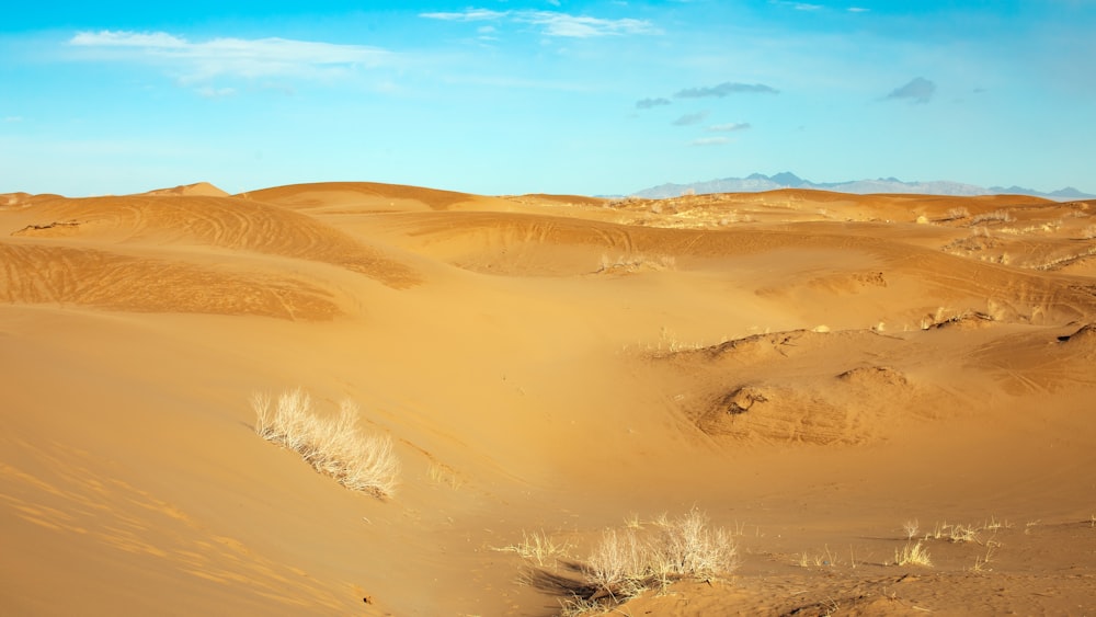 brown sand under blue sky during daytime