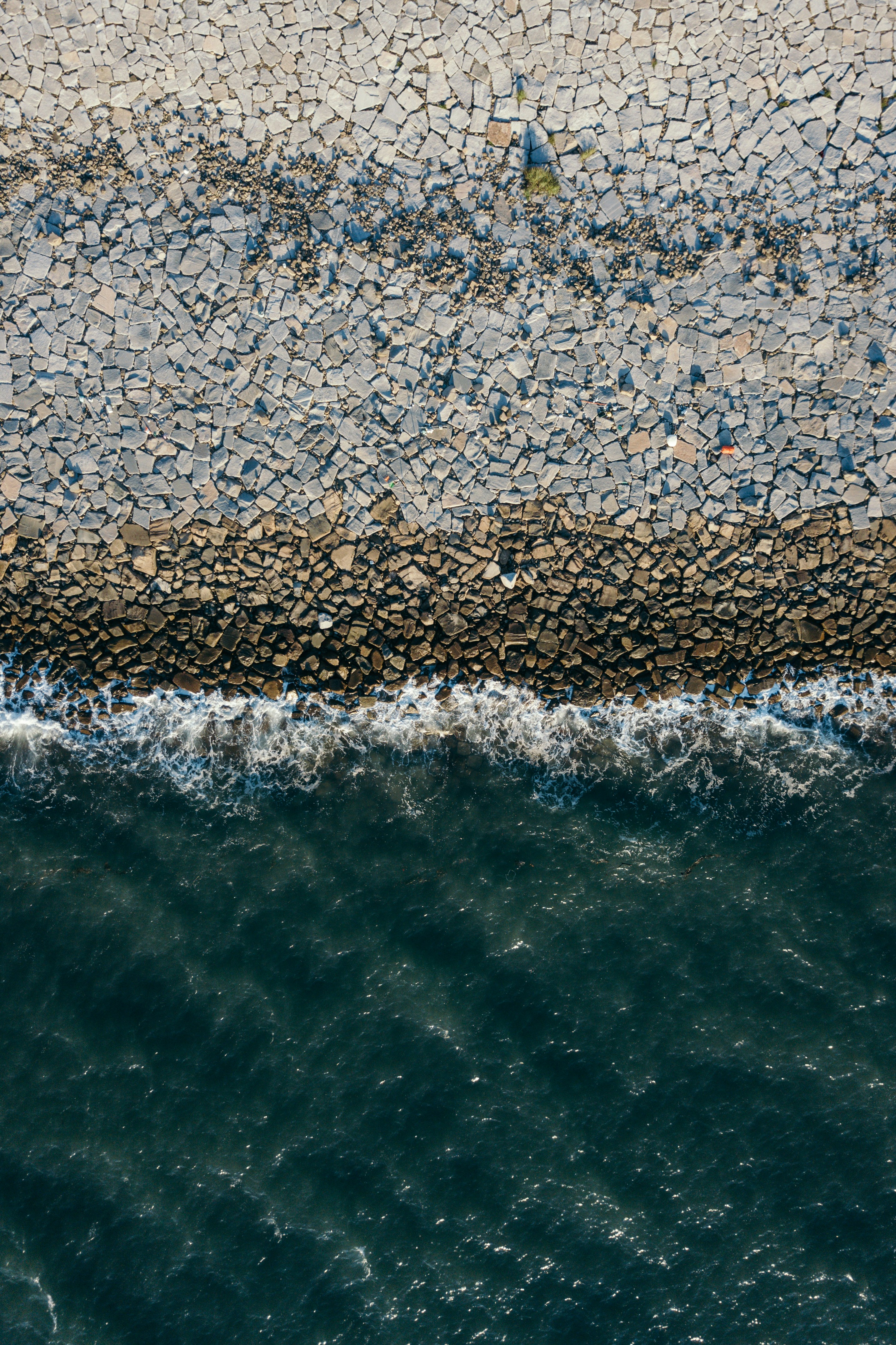 Photo by insungpandora