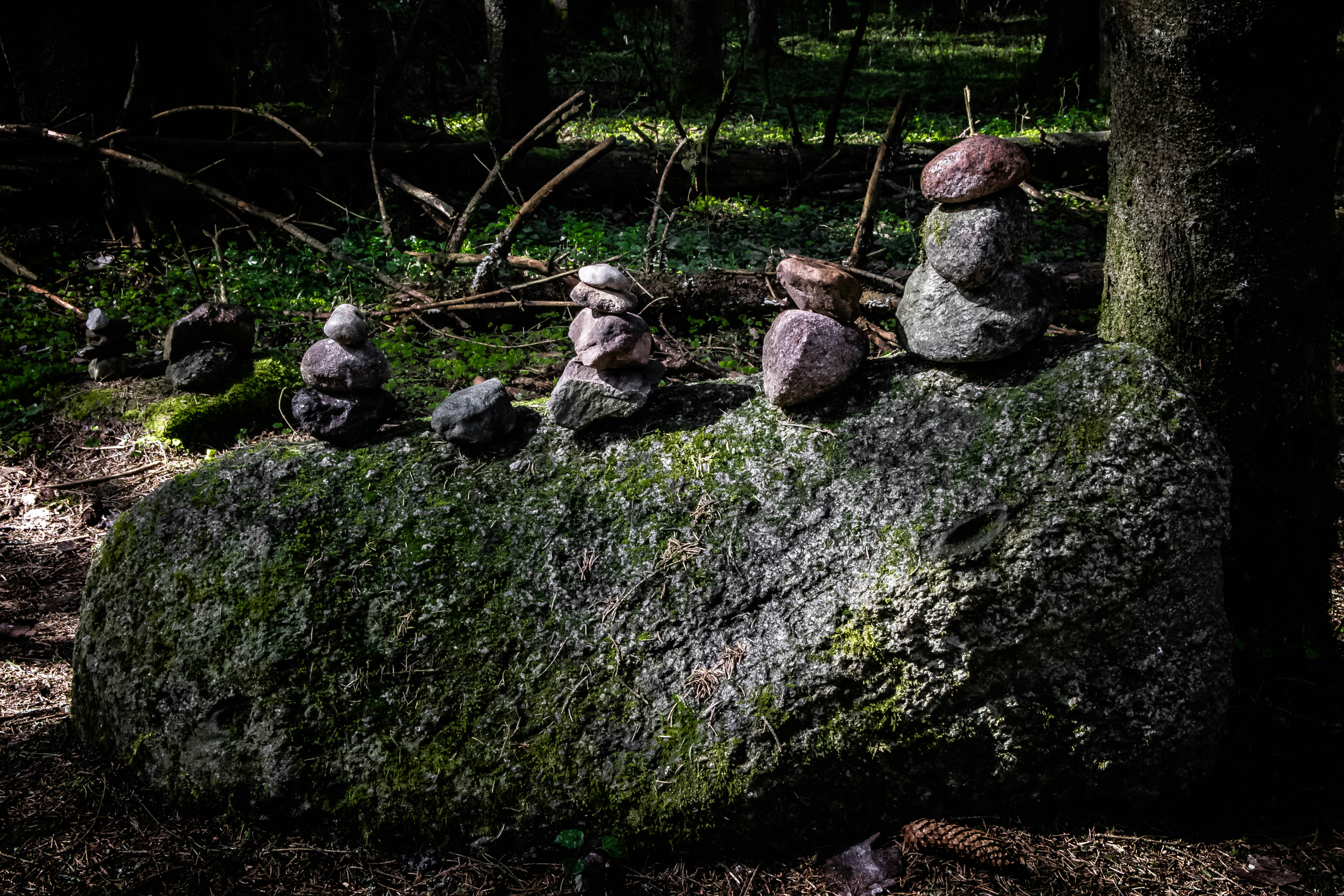 Eine Gruppe von Felsen, die auf einem moosbedeckten Felsen sitzen