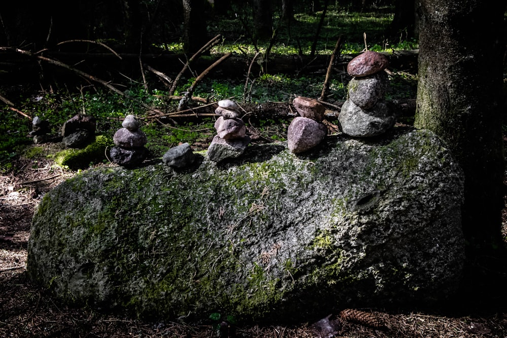 a group of rocks sitting on top of a moss covered rock