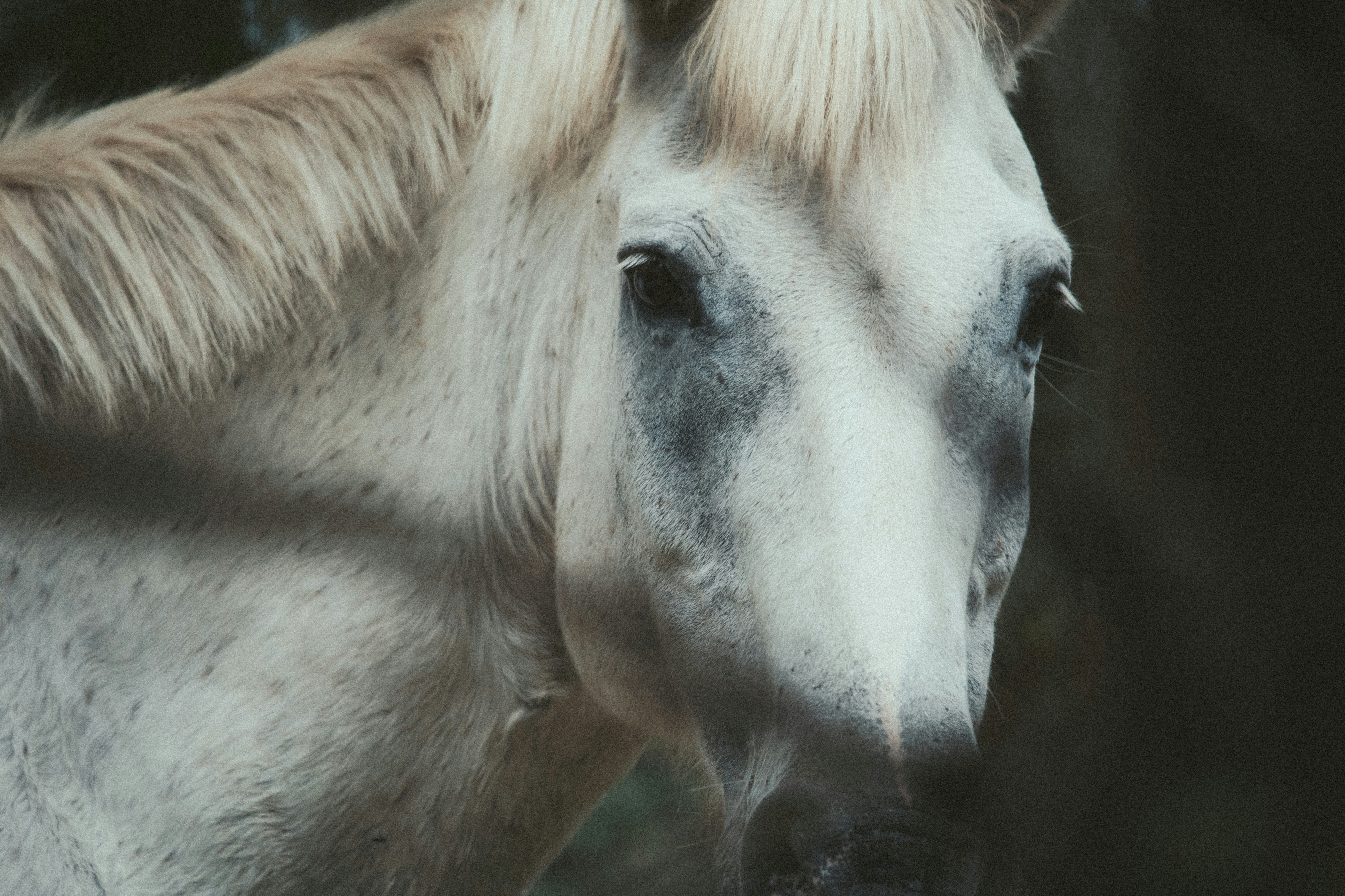 Photo by nicktrentham