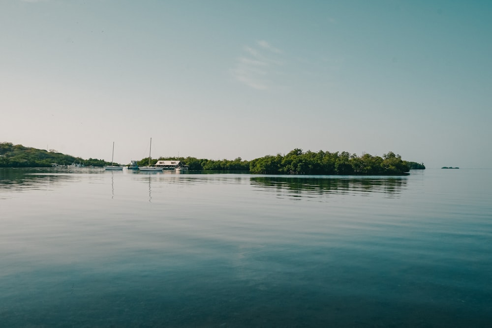 white boat on body of water during daytime