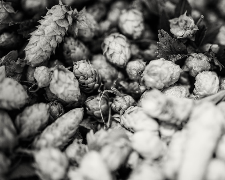 Hop bitterness calculator — Tool tool