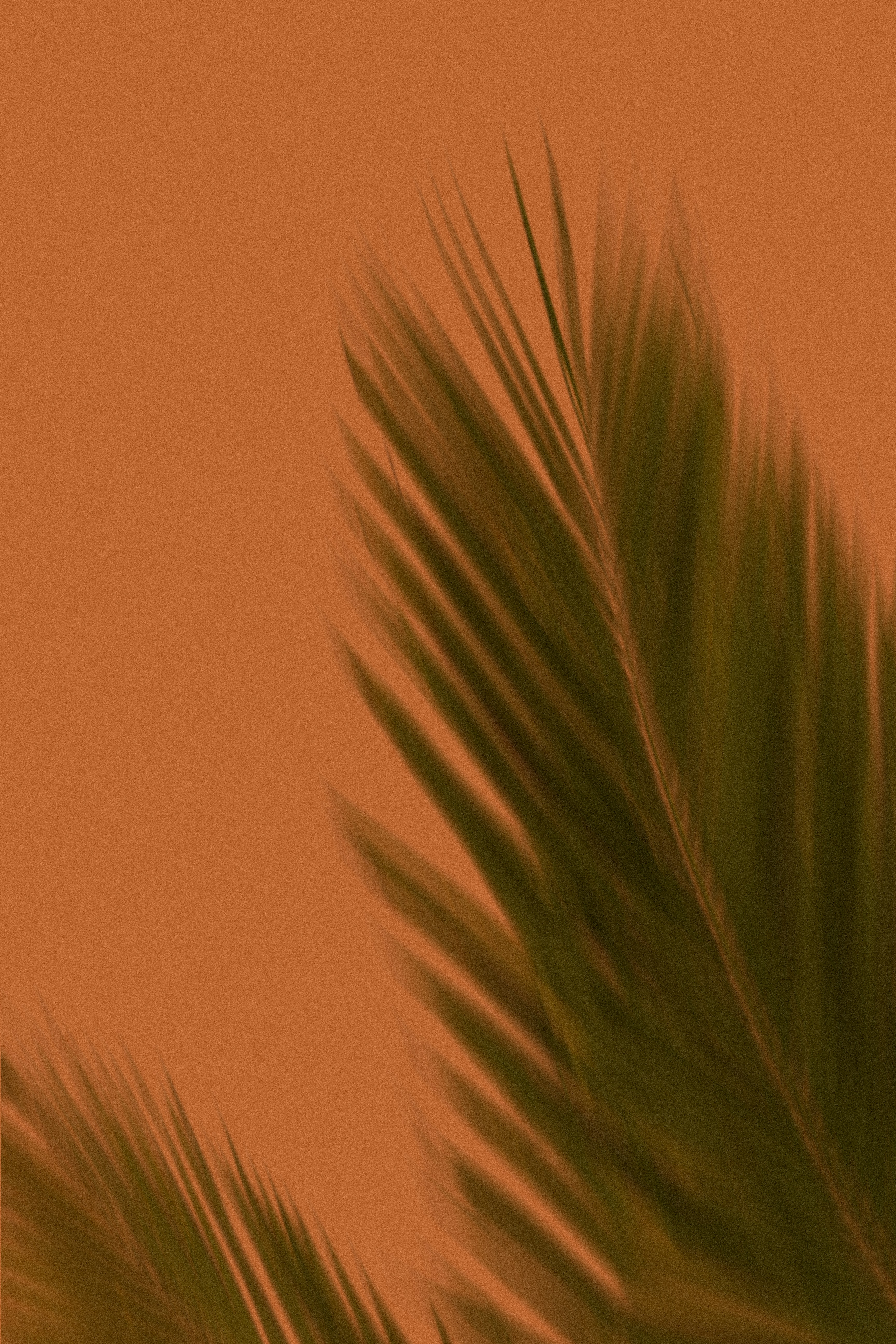 L'impact de brown-out sur