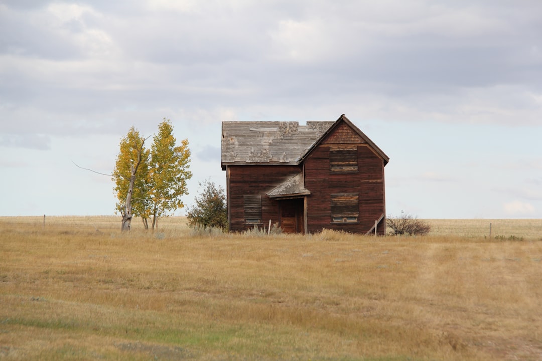 an old barn in a field with a tree in the foreground,