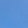 A clear blue sky with a formation of birds flying across. The birds are spaced out and appear to be migrating, stretching across the expanse of the sky.