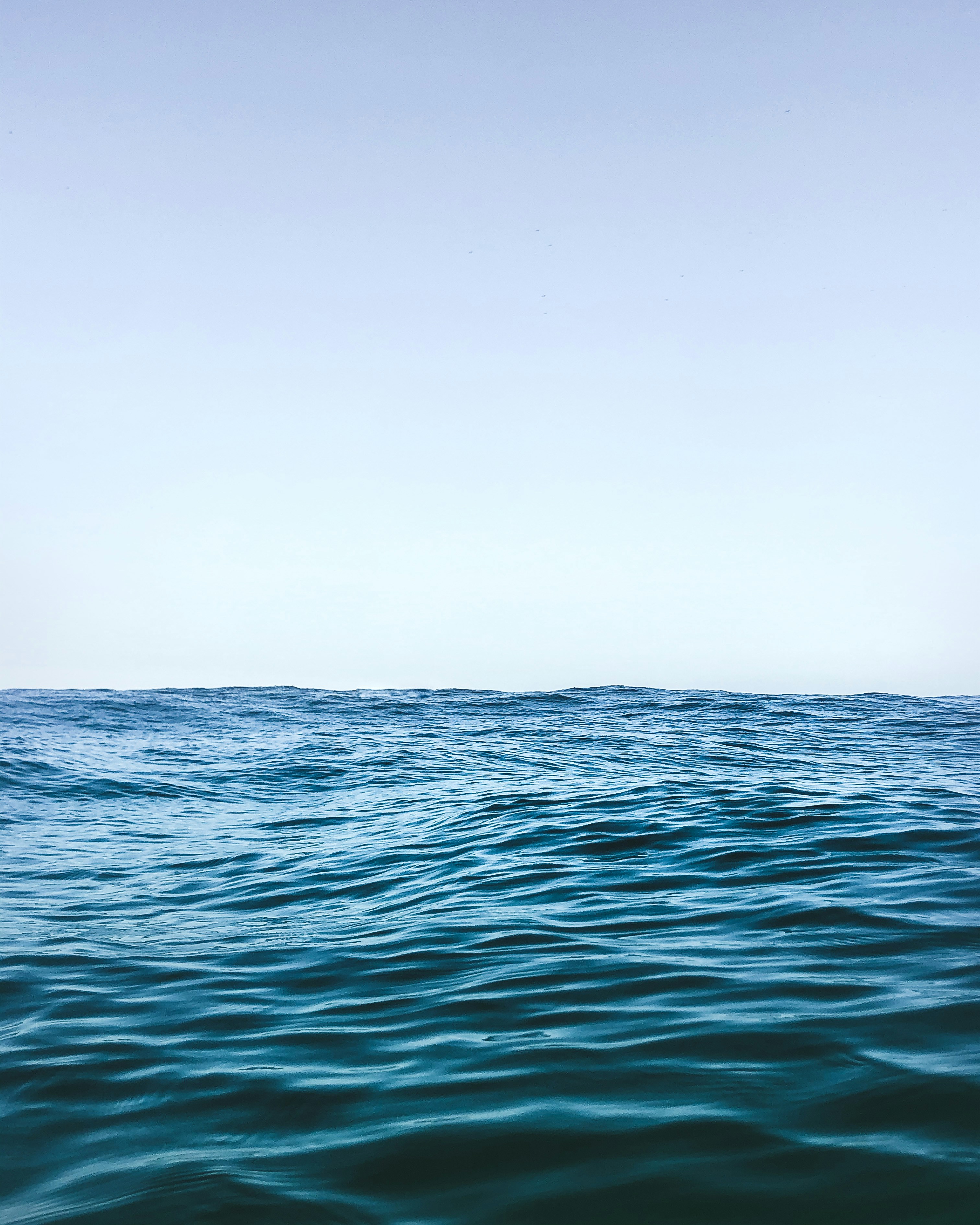 Photo by gabrielsuares