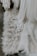 An intricate white dress with sequins draped elegantly over a plush, white, fluffy rug. The scene suggests a bridal setting with layers of tulle and fabric visible.