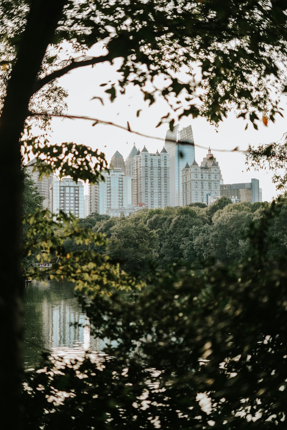 green trees near body of water during daytime