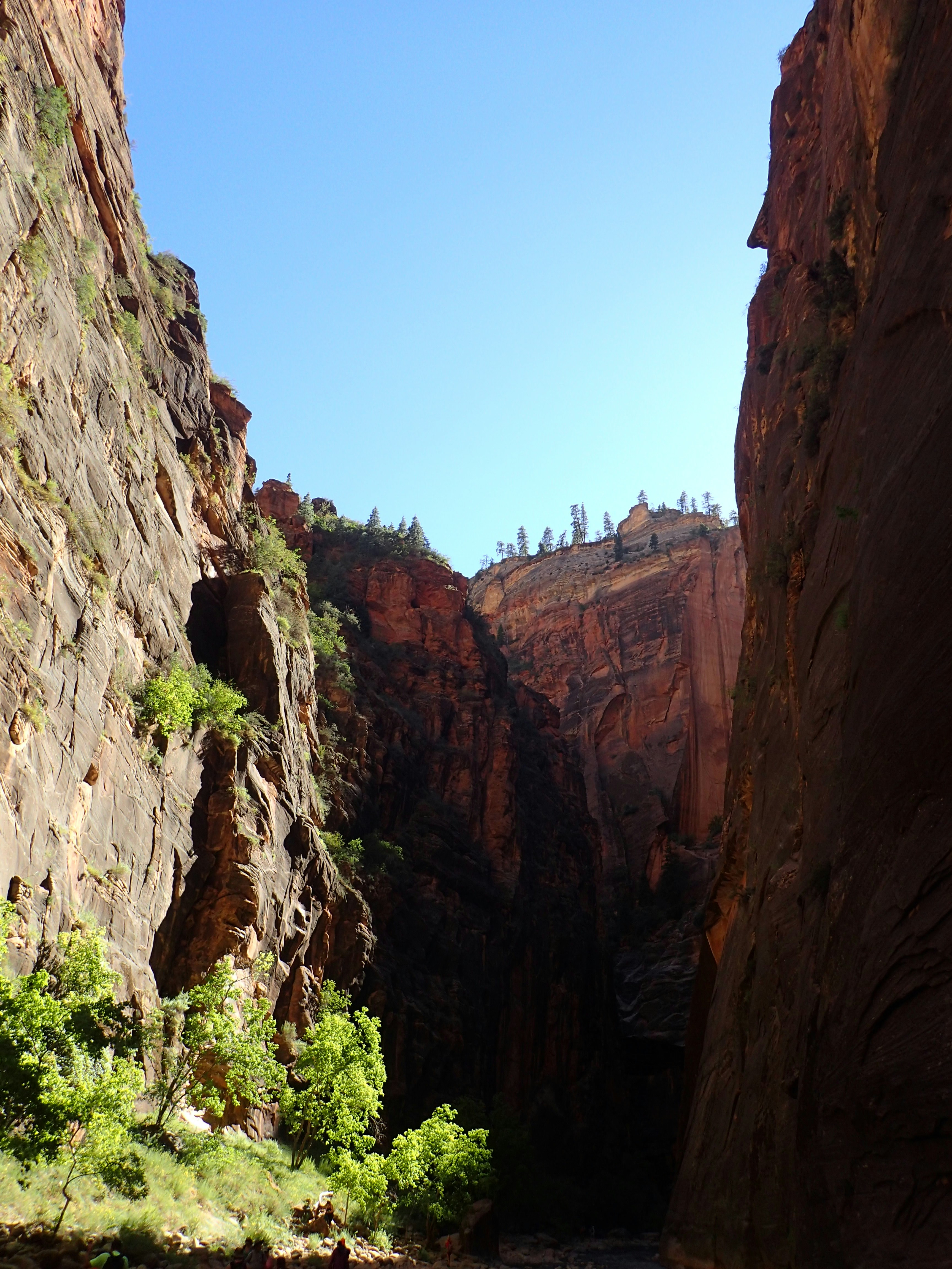 Photo by thiagorobert