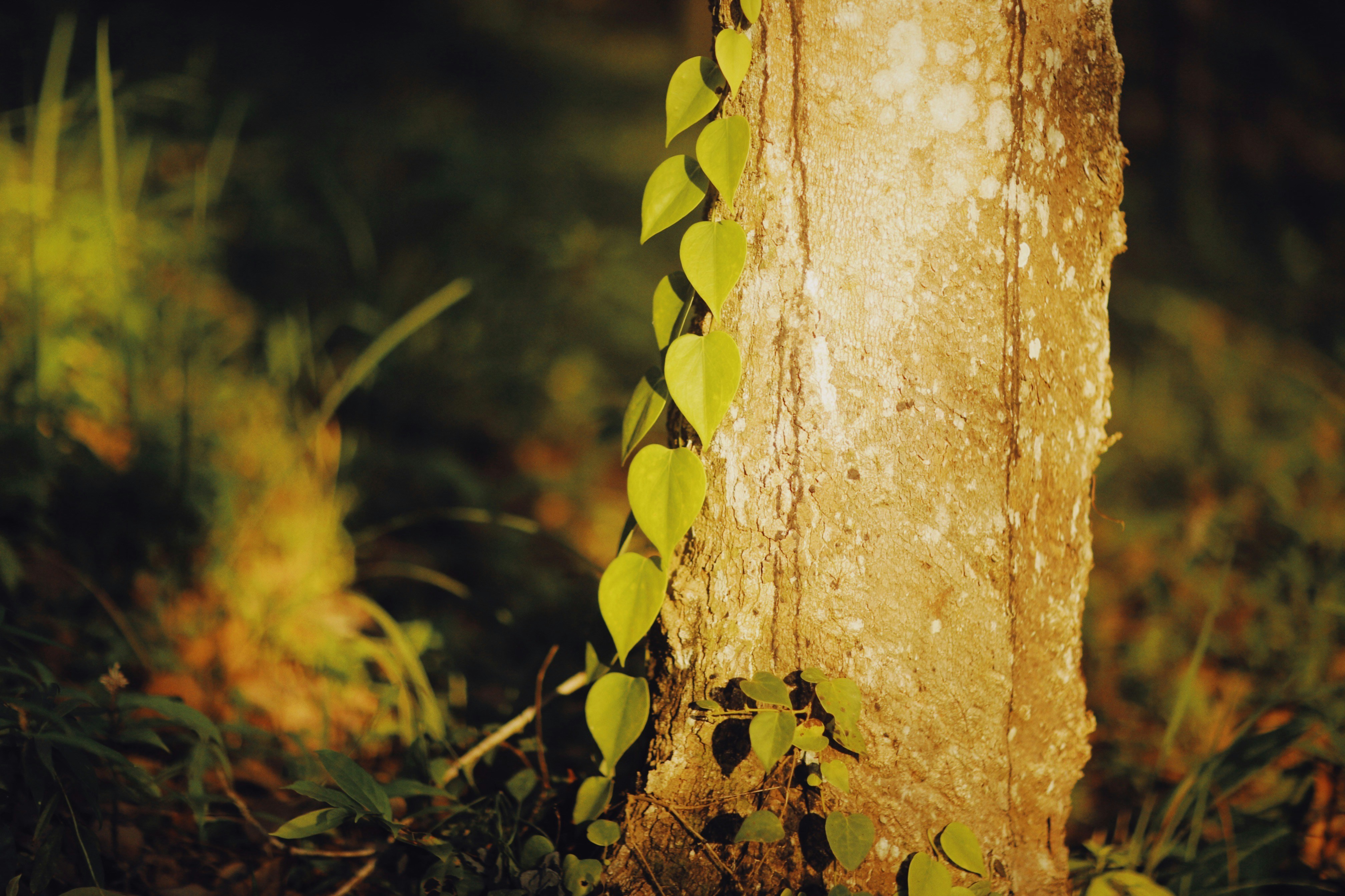 Photo by alexeydemidov