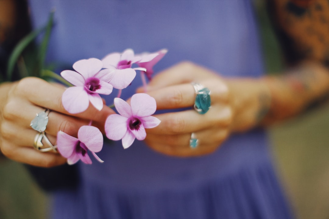 person holding pink petaled flower