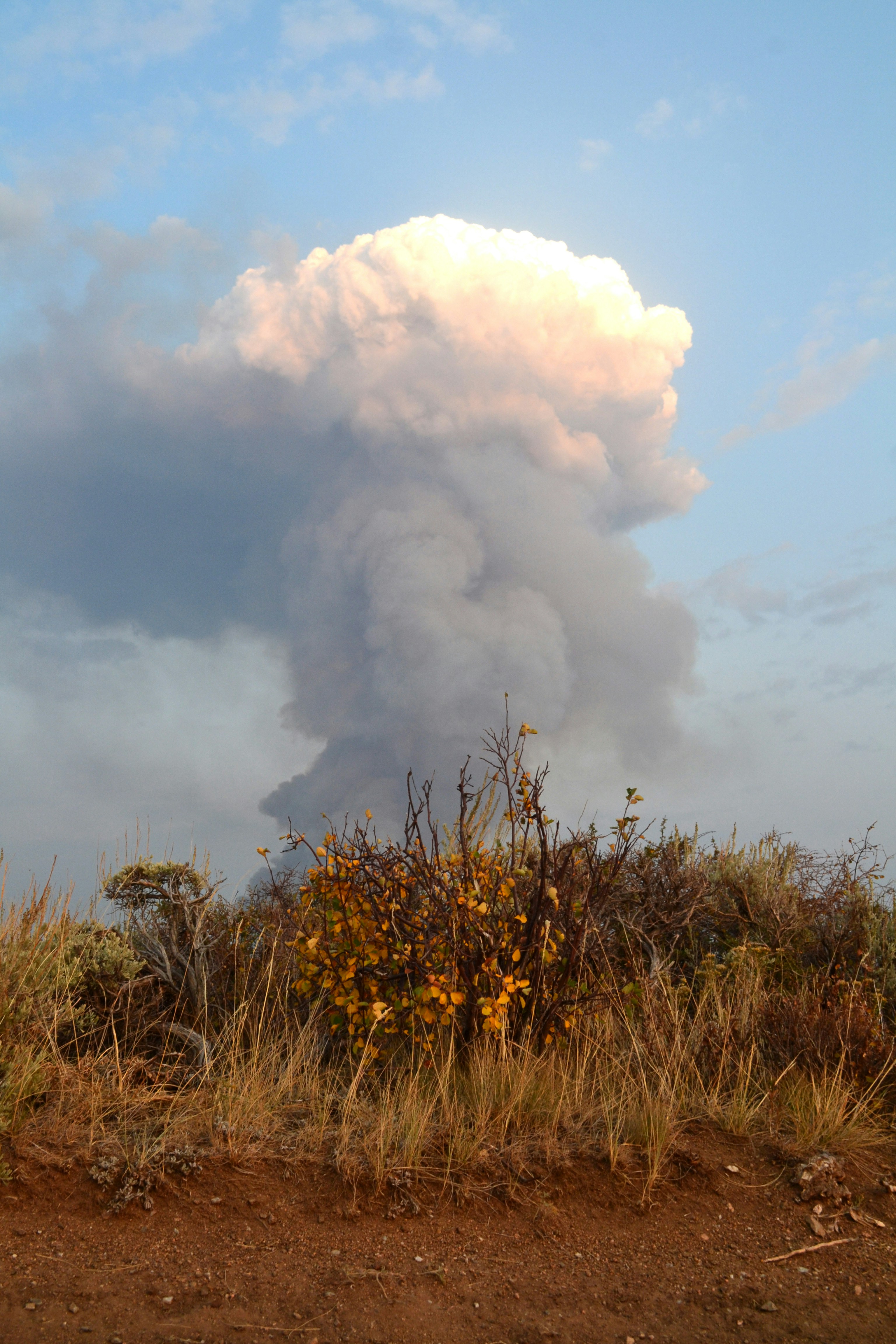 The Toba Comparison Trap (image credits: unsplash)