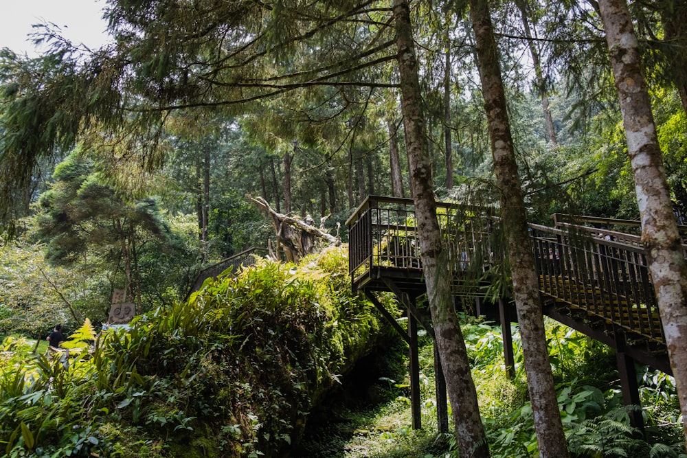 brown wooden bridge in the woods