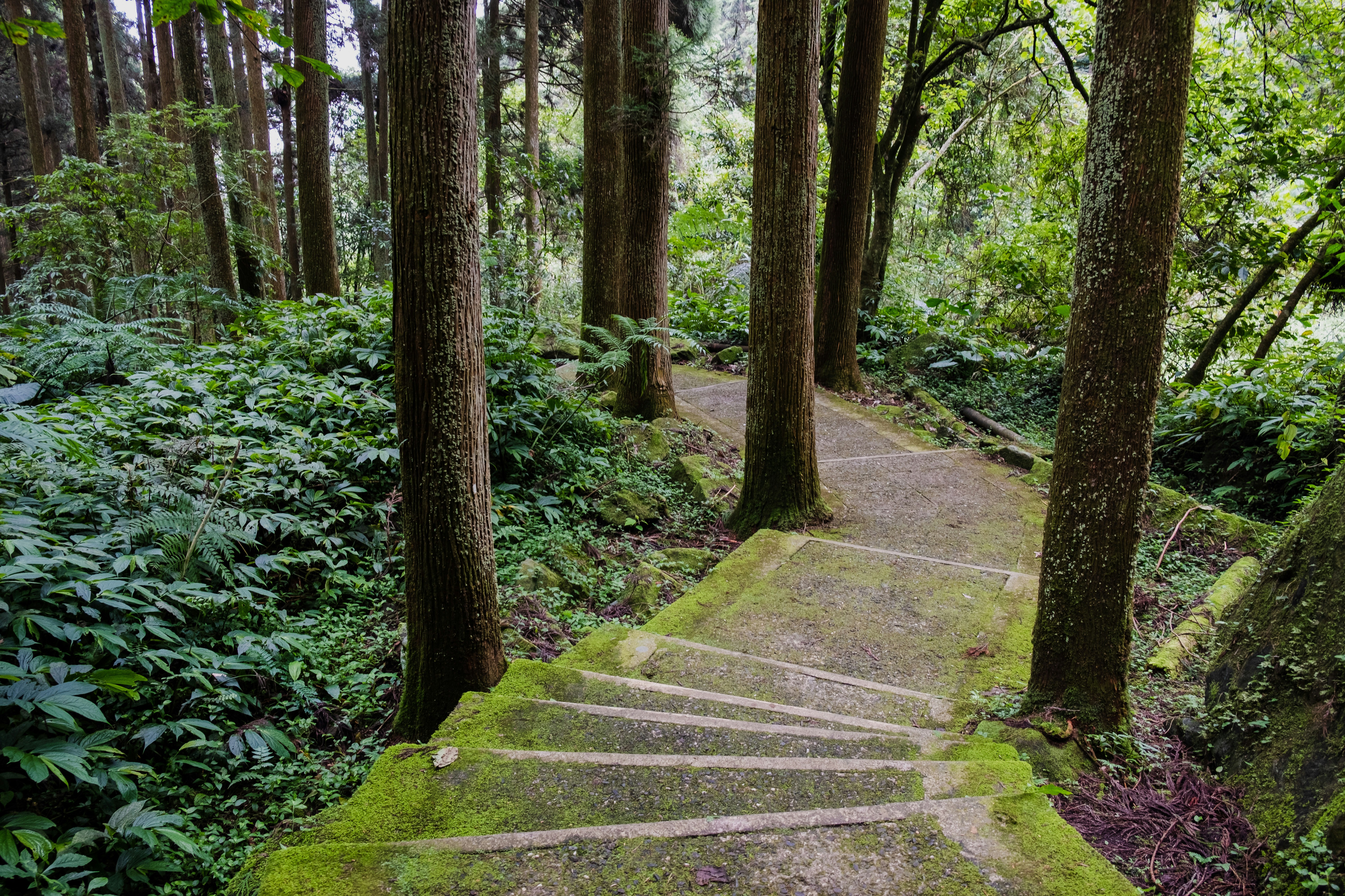 演藝圈水太深！明星假面下的真面目，#MeToo風暴再起？！
