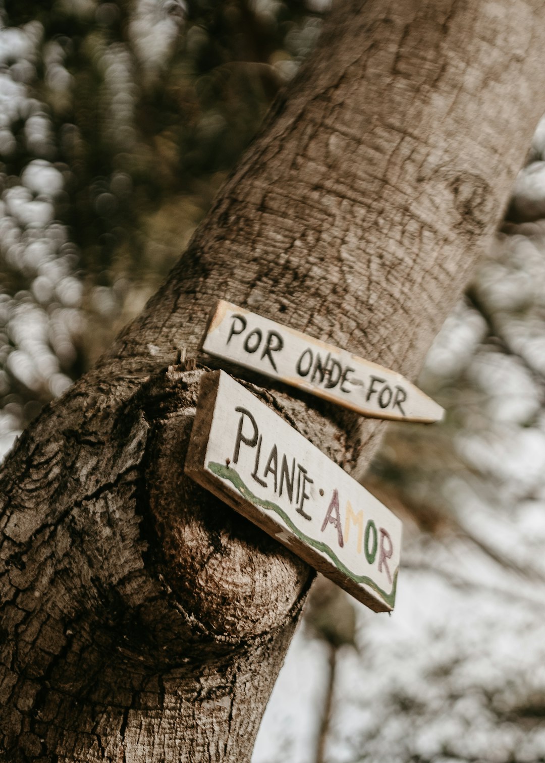 white and black wooden signage