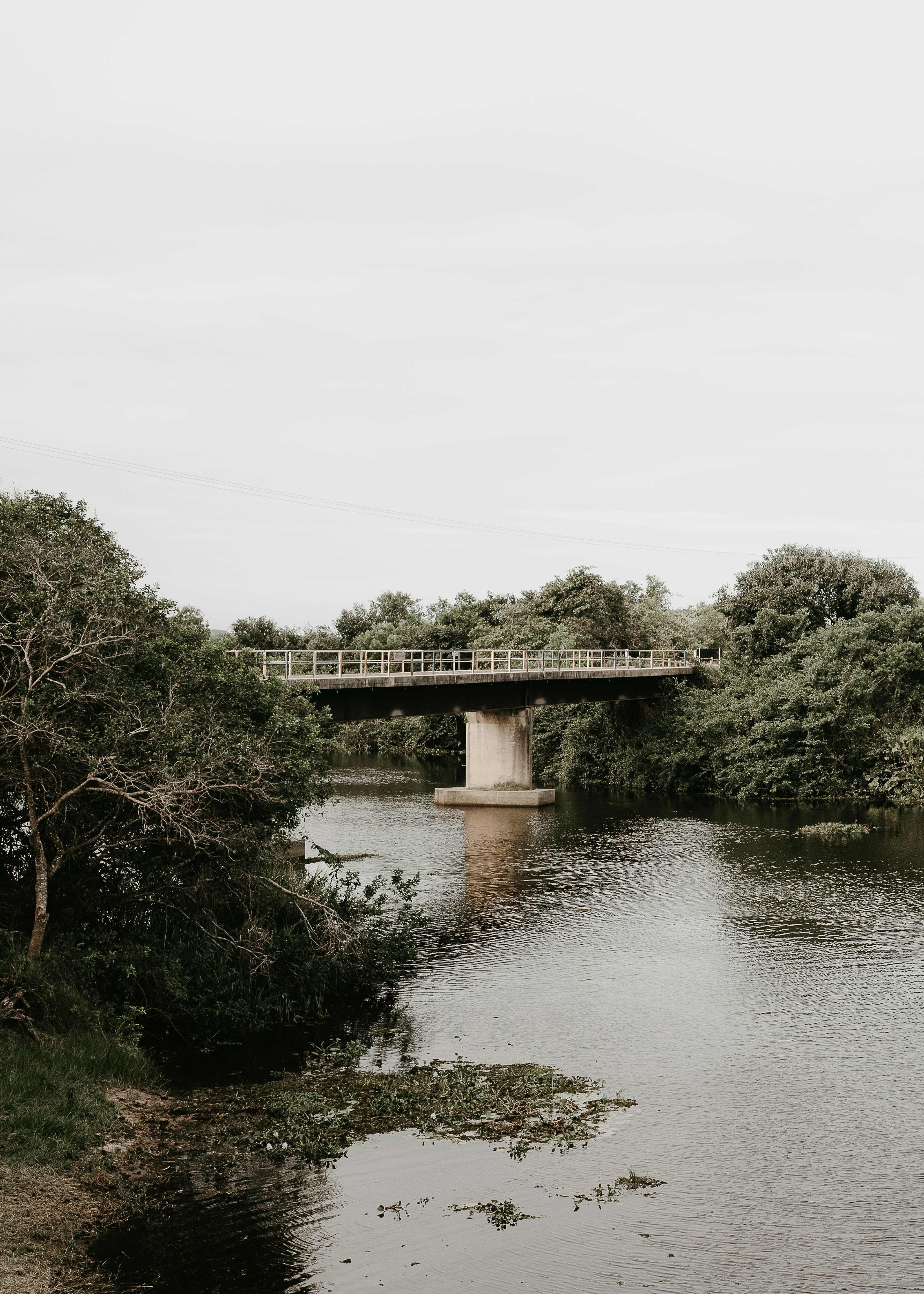 Photo by vitormonthay