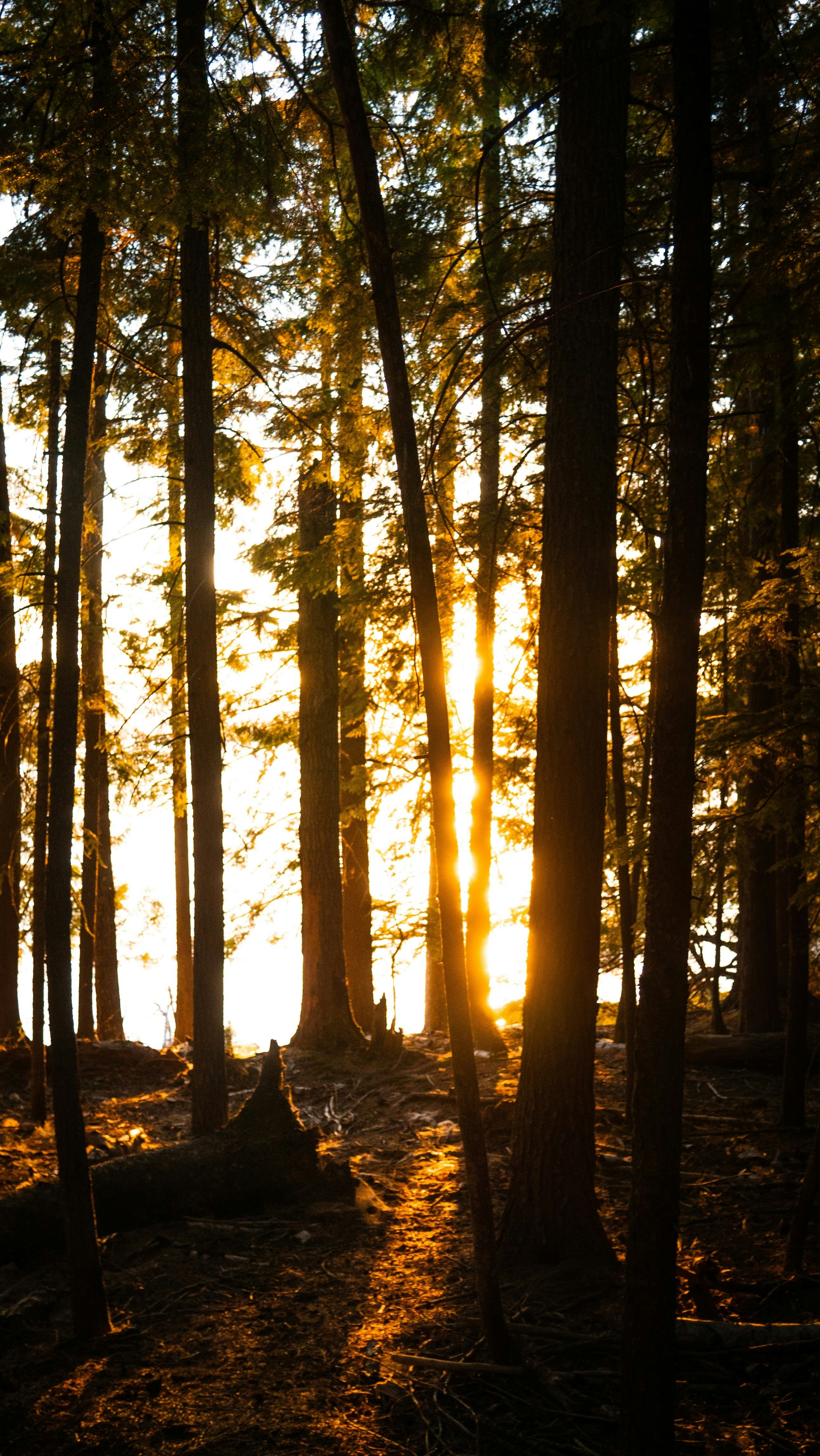 Photo by thomas_weaver