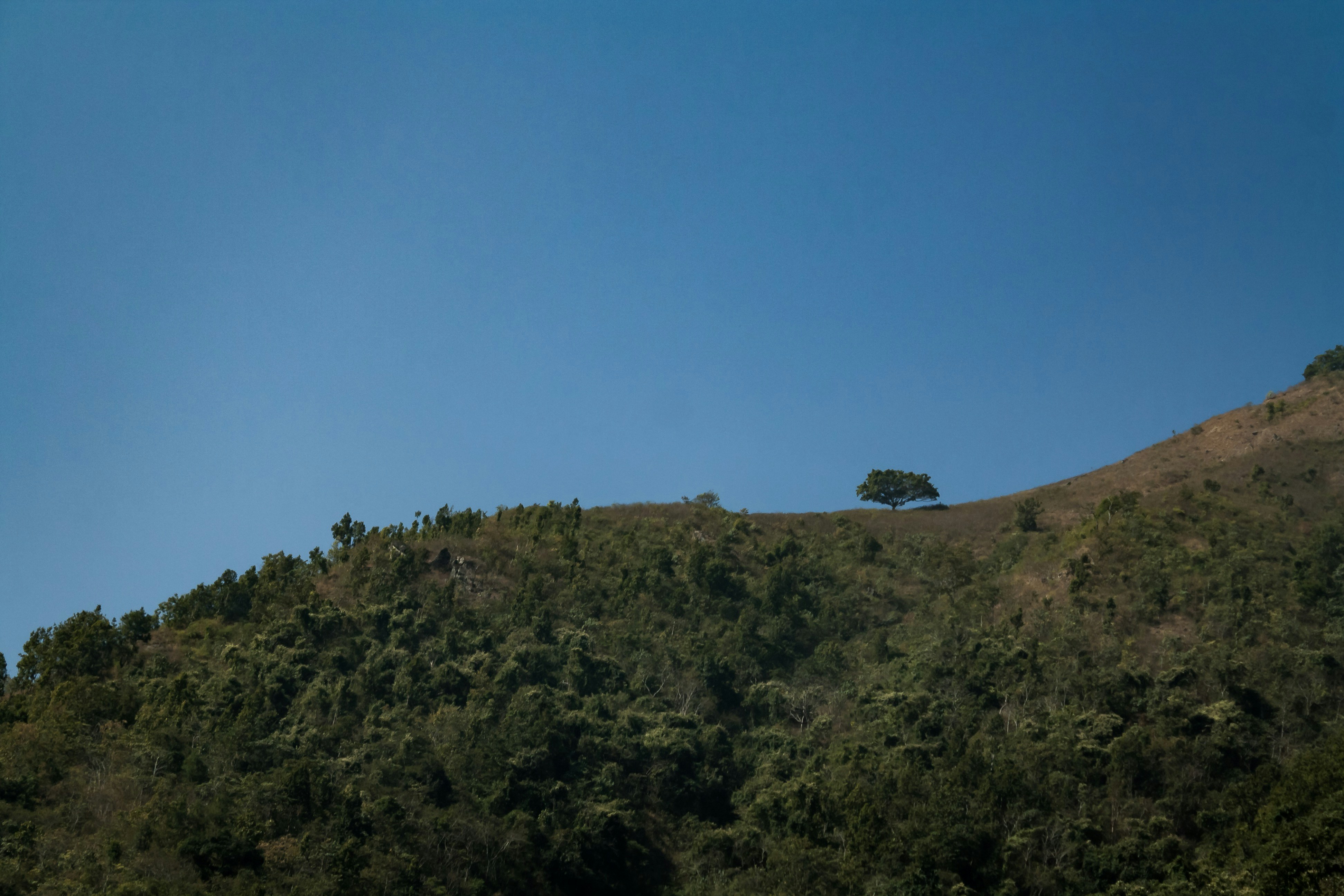 Photo by chaussebenjamin