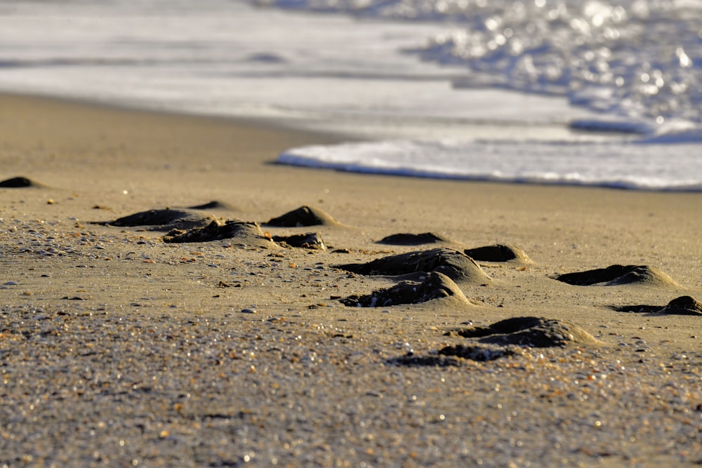 brown sand near body of water during daytime