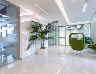 green potted plant on white ceramic floor tiles