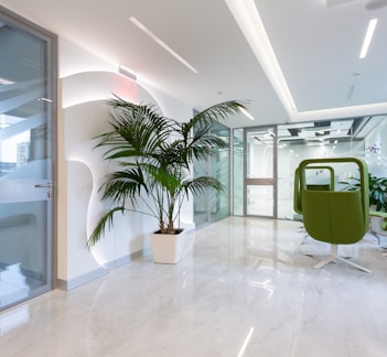 green potted plant on white ceramic floor tiles