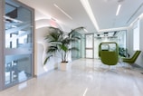 A modern office space with a bright, clean aesthetic. The area features a large potted plant against a white wall with geometric designs. The floor is made of polished, light-colored marble. There are two green swivel chairs and a small table near a glass door. Large glass partitions separate the space, allowing natural light to illuminate the area.