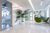 A modern office space with a bright, clean aesthetic. The area features a large potted plant against a white wall with geometric designs. The floor is made of polished, light-colored marble. There are two green swivel chairs and a small table near a glass door. Large glass partitions separate the space, allowing natural light to illuminate the area.
