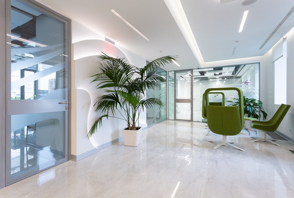 green potted plant on white ceramic floor tiles