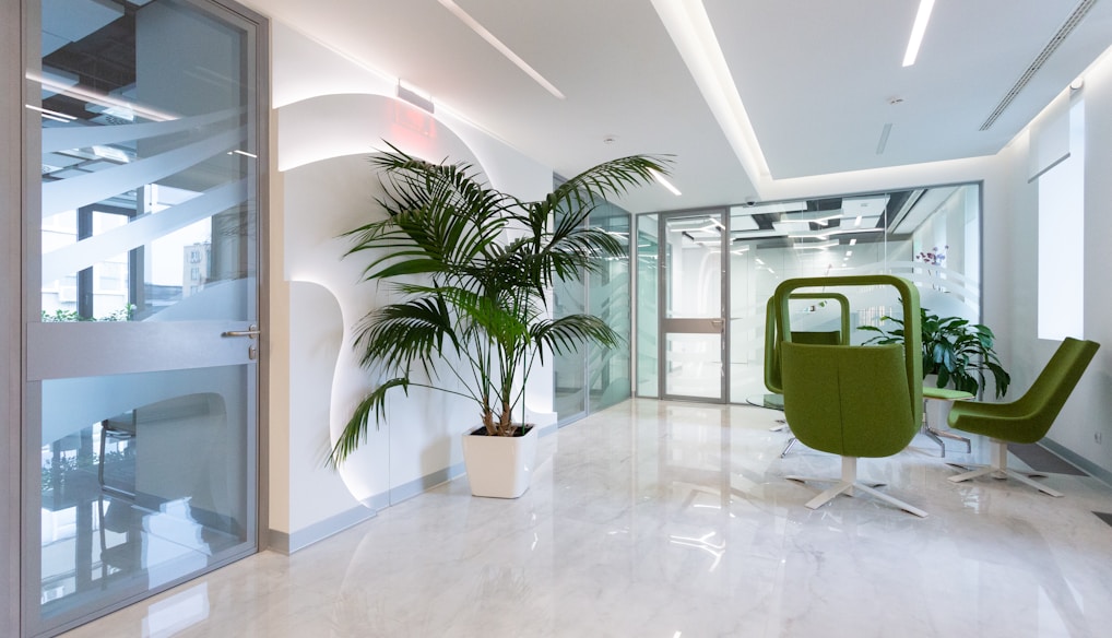 green potted plant on white ceramic floor tiles