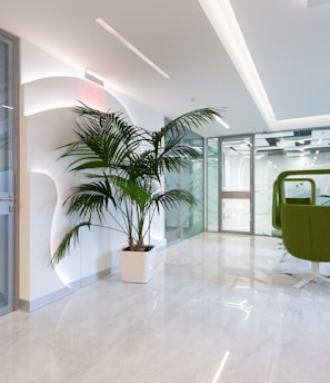 green potted plant on white ceramic floor tiles