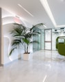 green potted plant on white ceramic floor tiles