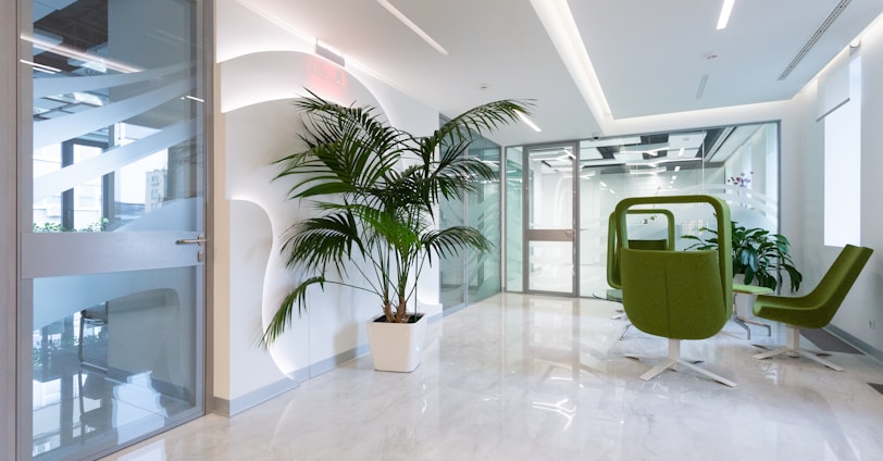 green potted plant on white ceramic floor tiles