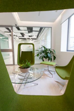 green potted plant on table