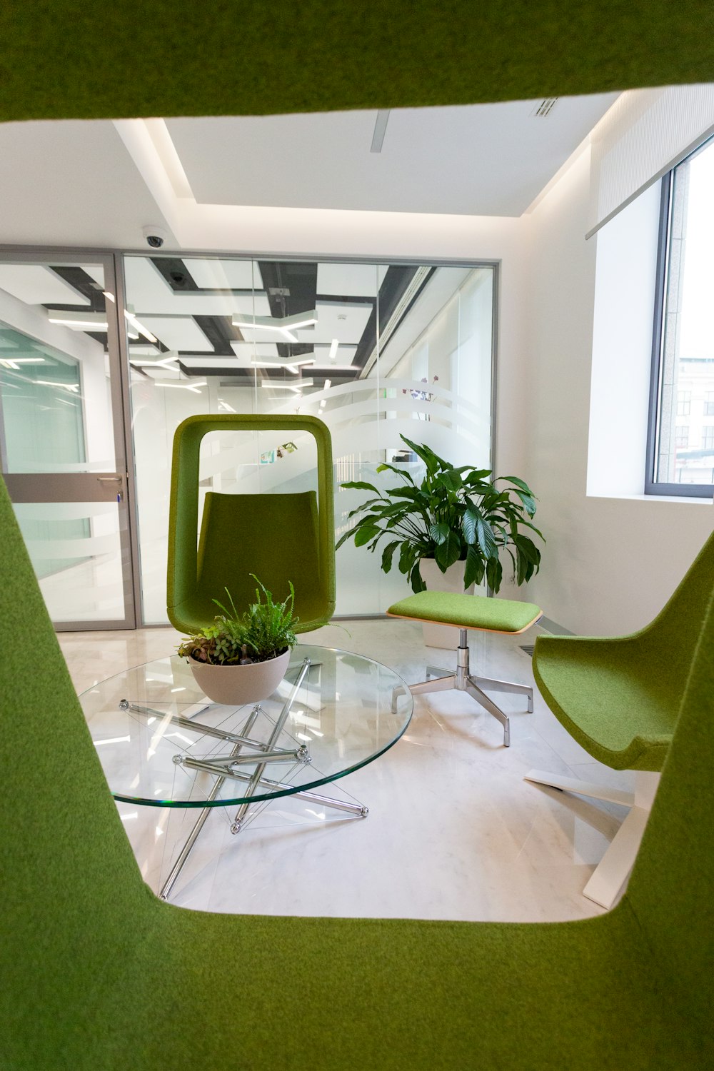 green potted plant on table