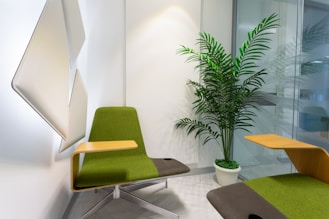 green and black chair beside green plant