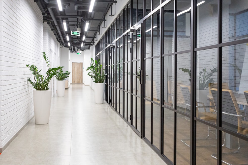 white hallway with glass windows