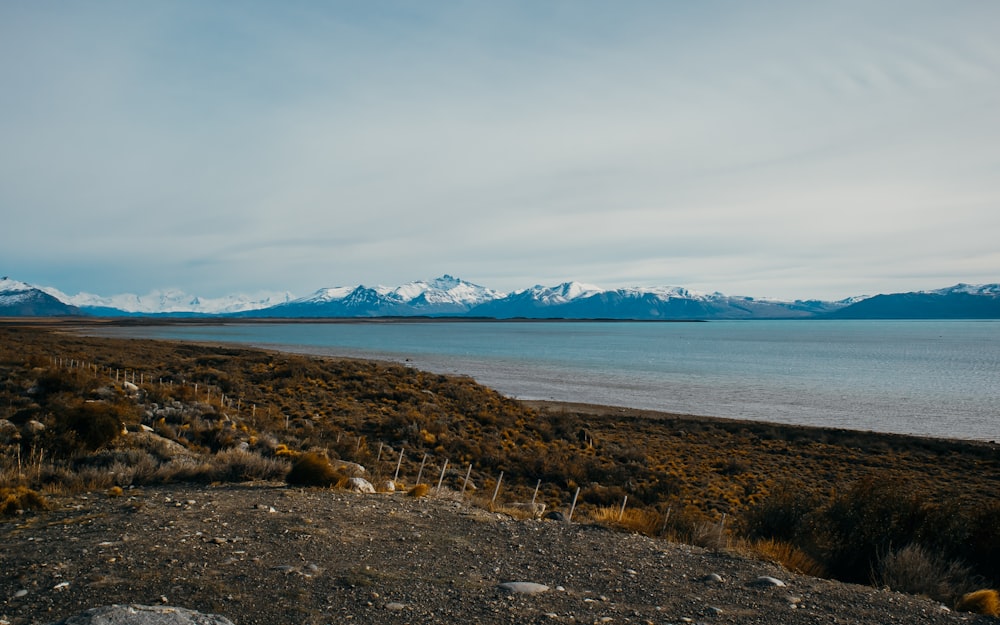 brown rocks on seashore under white clouds and blue sky during daytime