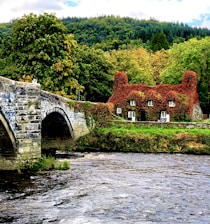 gray concrete bridge over river surrounded by trees