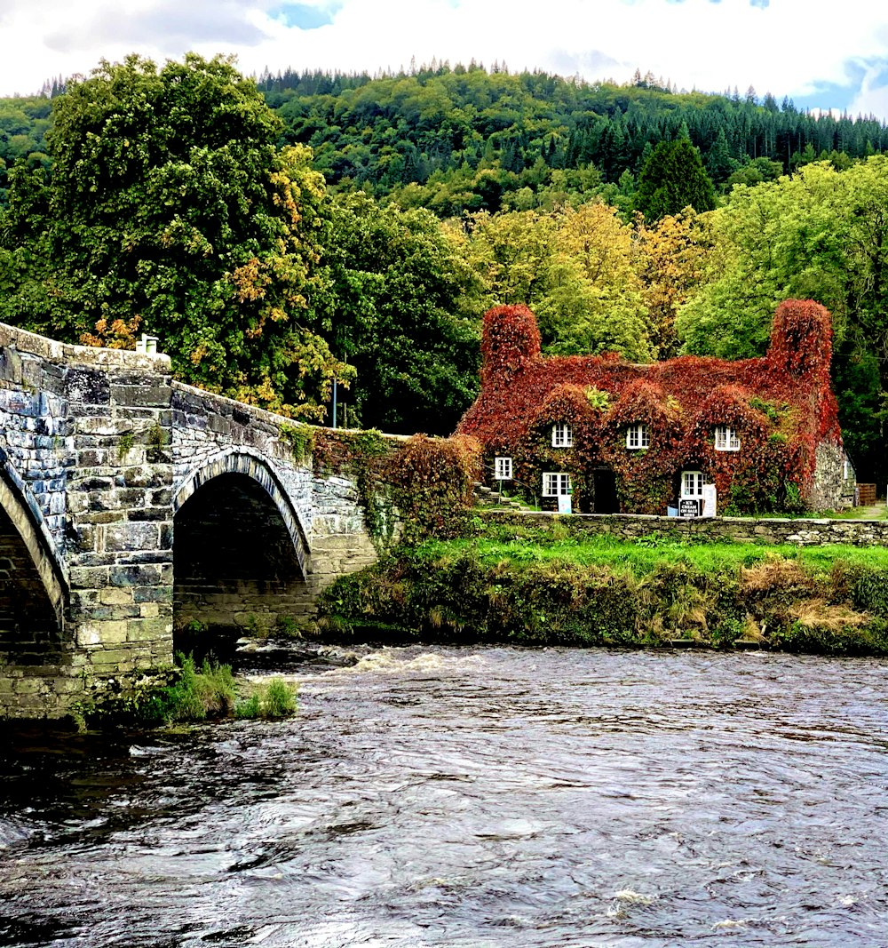 gray concrete bridge over river surrounded by trees